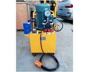 上海标准电动泵厂家供应销售
