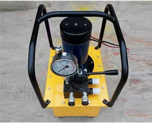 上海标准电动泵供应生产厂家
