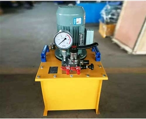 上海标准电动泵生产厂家供应