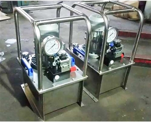 上海标准电动泵生产厂家销售
